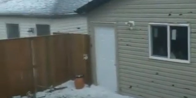 Torrential rain and hailstones as large as tennis balls rained down in the Calgary area on Saturday, punching holes in the siding of homes.