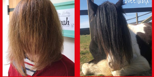 Redwings Horse Sanctuary, which takes care of 1,500 horses at its five visitor centers across the U.K., came up with the funny challenge as a way of continuing to fundraise while their centers are closed.