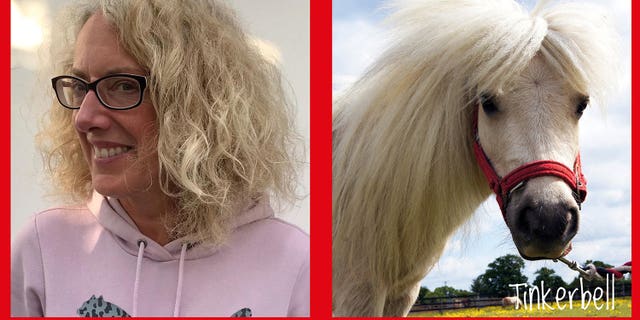 People are getting matched up with a “lookalike” horse with its mane combed into a similar style, and many of the matches are brilliantly accurate.