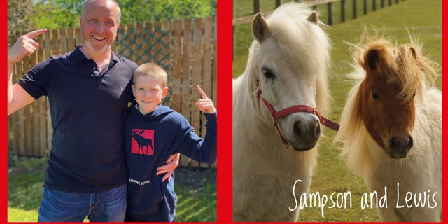 Horse lovers have come up with a fun challenge by asking people to send in photos of their lockdown haircuts - and matching them with a “lookalike.”