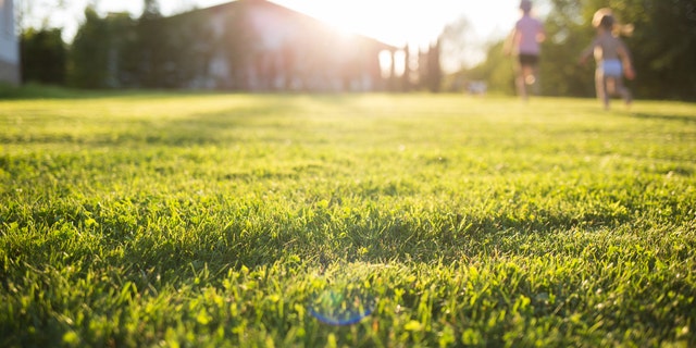 Midday sunlight is capable of inactivating 90 percent or more of the SARS-CoV-2 virus after 34 minutes of exposure, a recent study found. <br data-cke-eol="1">
(iStock)