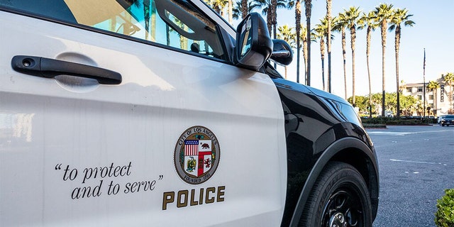 According to the Los Angeles Police Department, a large fight broke out at around 6:30 p.m. local time at the 3500 block of Valley Boulevard.