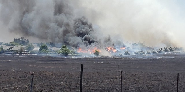 The Nelson Fire in Butte County, California destroyed three homes and scorched some 95 acres on Wednesday.