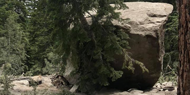A large boulder rests against a tree after a magnitude 5.8 earthquake triggered a rockslide at Whitney Portal in California.