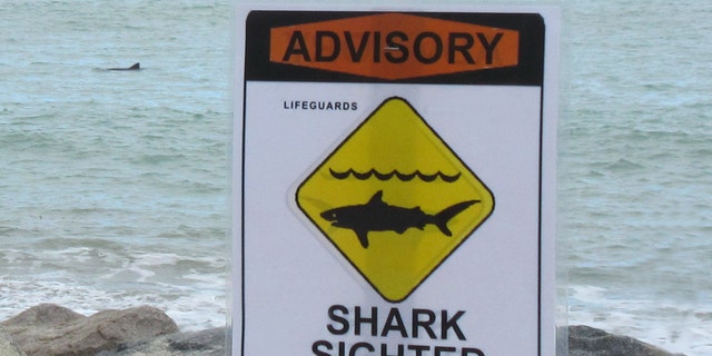 A shark warning advisory sign at Capistrano Beach warns beachgoers of possible shark dangers. 
