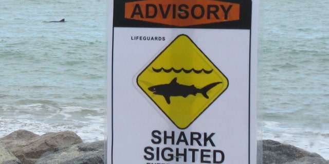 A shark warning advisory sign at Capistrano Beach warns beachgoers of possible shark dangers. 