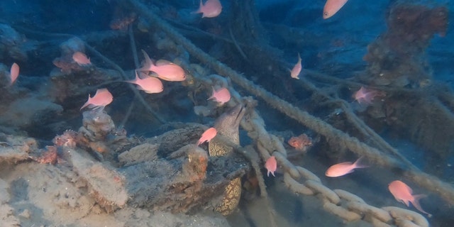 The shipwreck was discovered off the Italian coast.