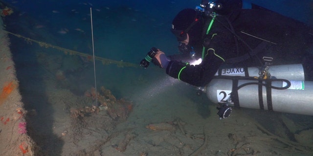 A diver examining the shipwreck.