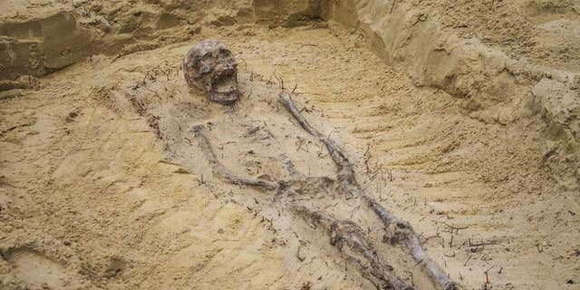 The remains were discovered after construction workers found human bones during roadworks.