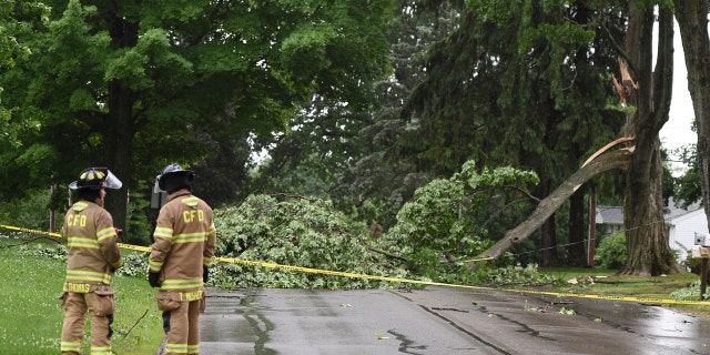 Concord firefighters work at the scene of a downed tree and power line on Main Street on June 10.