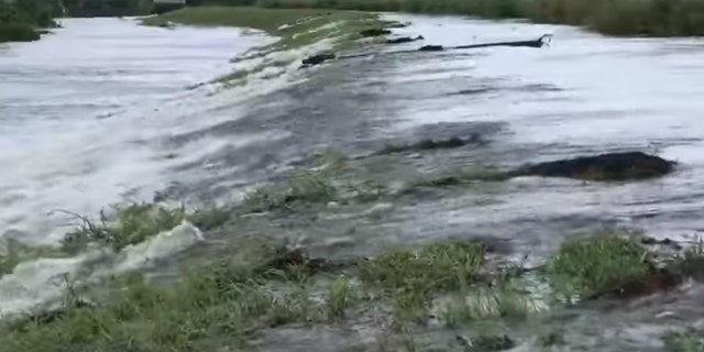 Storm surge floodwaters can be seen overtopping a levee in St. Bernard Parish, Louisiana on Sunday.