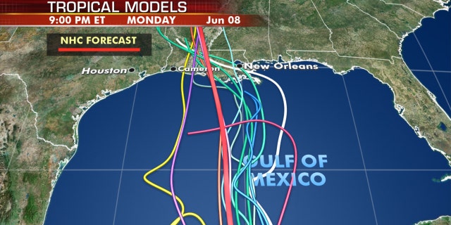 The forecast models on where Tropical Storm Cristobal is going next.