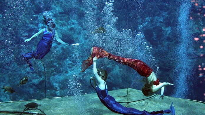 weeki wachee halloween 2020 Florida S Weeki Wachee Known For Its Mermaids Dissolved 54 Years After Its Creation Fox News weeki wachee halloween 2020