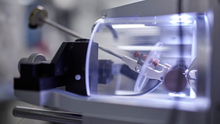 WHO official backtracks after claiming asymptomatic spread of coronavirus is 'very rare'