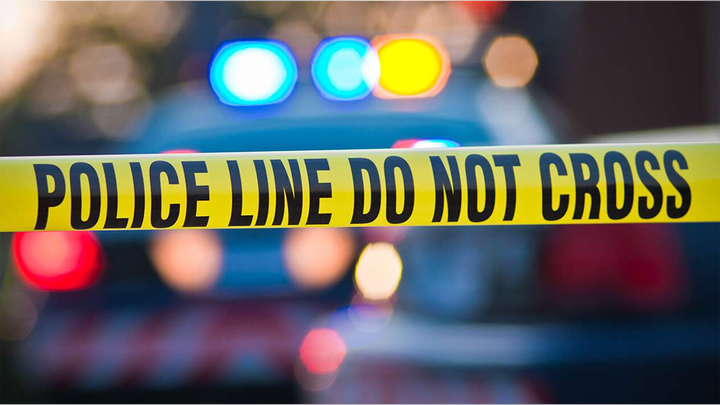 Former Detroit police chief blames 'silent' politicians for crime crisis