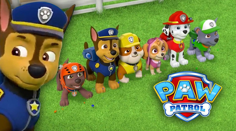 Reported outrage toward Nickelodeon cartoon 'Paw Patrol' sparks wild  reactions online