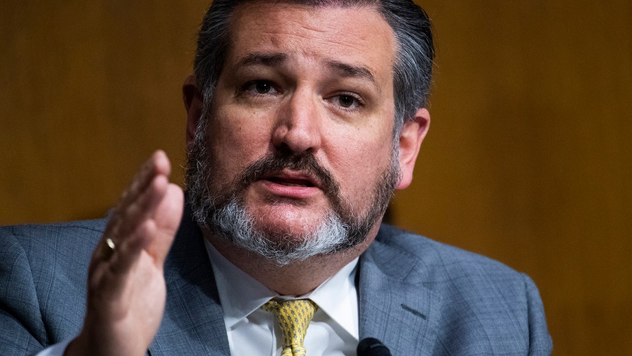 Ted Cruz blasts Google over The Federalist treatment