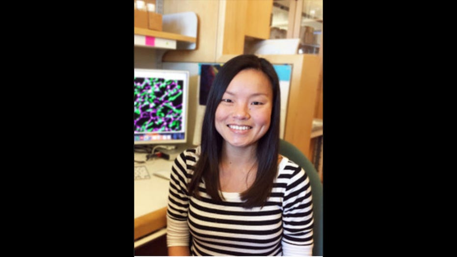 Fox News Flash top headlines for June 11