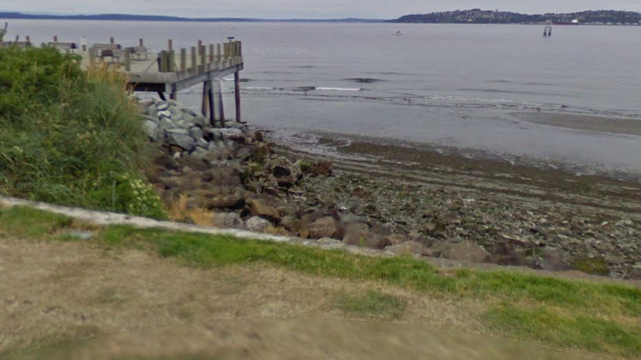 Russian Beach Clips - Seattle teens claim they found human remains stuffed in bags while filming  TikTok video | Fox News