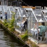 Customers seated in small glasshouses enjoy lunch at the Mediamatic restaurant in Amsterdam, Netherlands, June 1, 2020.