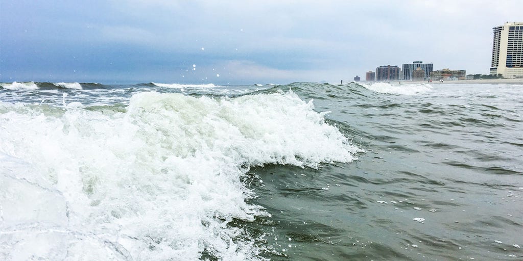After iPhone is lost in ocean by paddleboarder, scuba diver finds it the next day - Vimarsana News