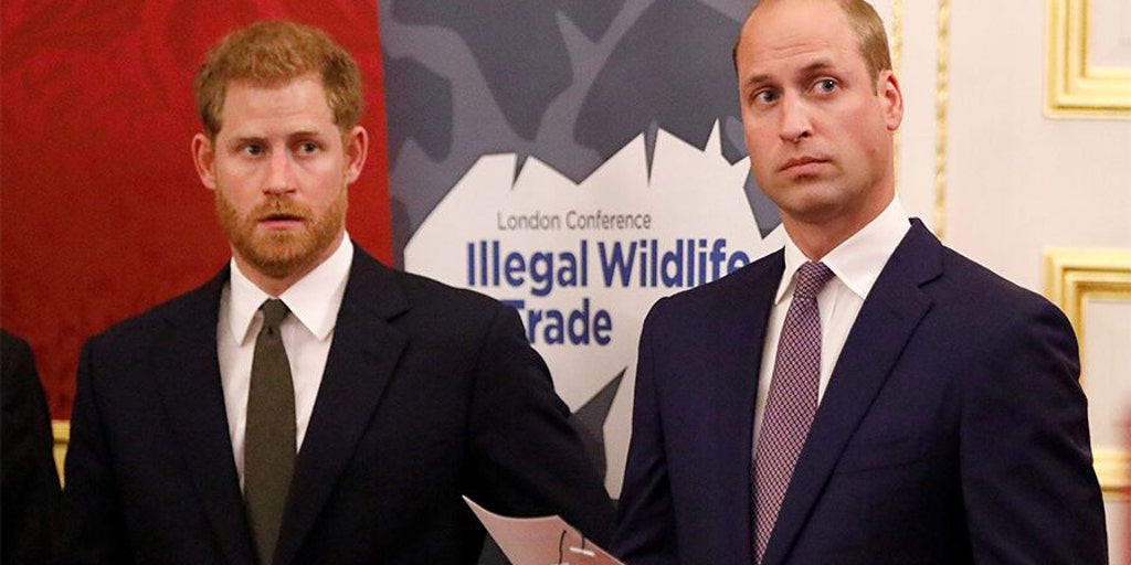 Prince William, Prince Harry are faced with grief after Martin Bashir's 'deceitful' Diana interview: author - Vimarsana News