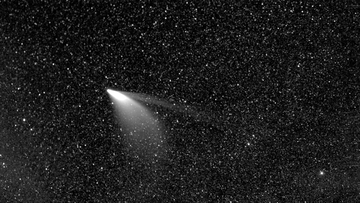 Processed data from the WISPR instrument on 狈础厂础’蝉 Parker Solar Probe shows greater detail in the twin tails of comet NEOWISE, as seen on July 5, 2020. The lower, broader tail is the comet’s dust tail, while the thinner, upper tail is the comet’s ion tail. (Credits: NASA/Johns Hopkins APL/Naval Research Lab/Parker Solar Probe/Guillermo Stenborg)