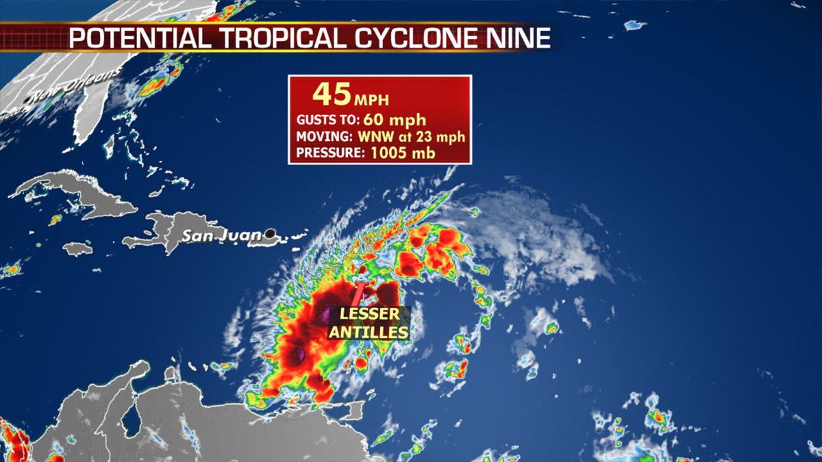 Tropical Cyclone Nine is forecast to develop into Tropical Storm Isaias at some time on Wednesday.