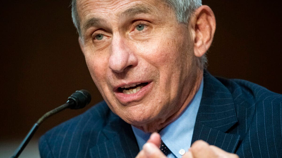 Director of the National Institute of Allergy and Infectious Diseases Dr. Anthony Fauci speaks during a Senate Health, Education, Labor and Pensions Committee hearing on Capitol Hill in Washington, Tuesday, June 30, 2020.