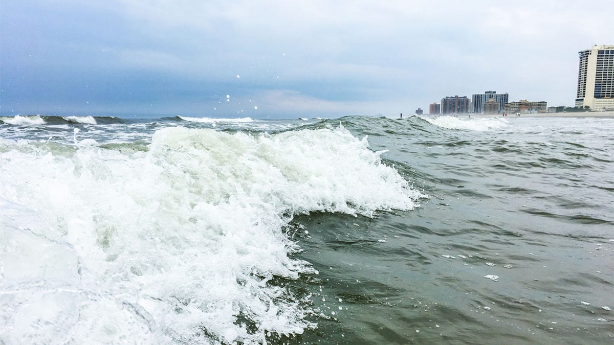 Paddle-boarder looks for phone next day