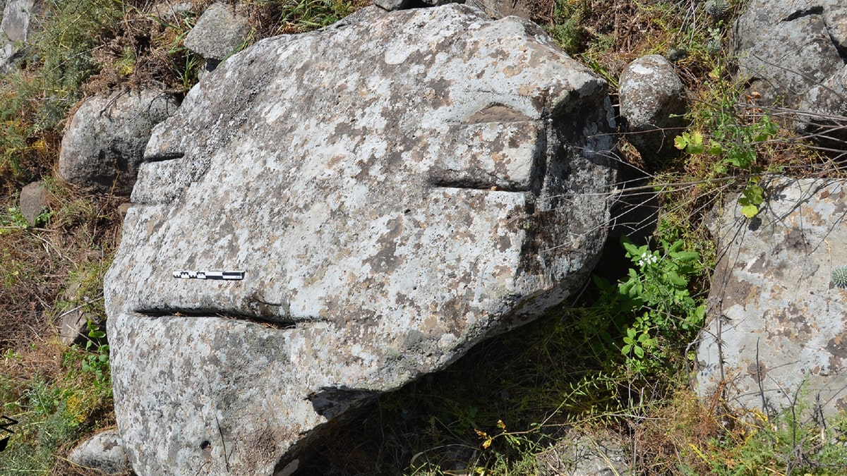 The human face-like rock – covering the Kiryat Shemona dolmen.