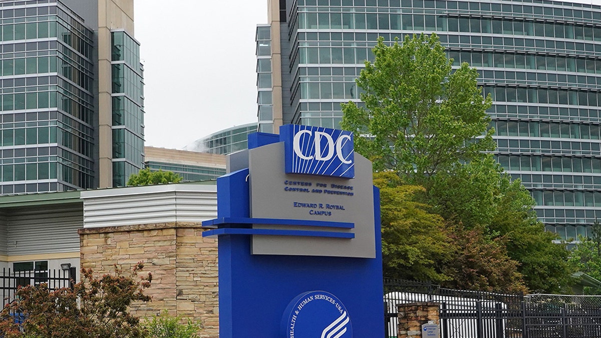 A general view of the Centers for Disease Control headquarters in Atlanta, Georgia on April 23, 2020.  (Photo by Tami Chappell/AFP via Getty Images)