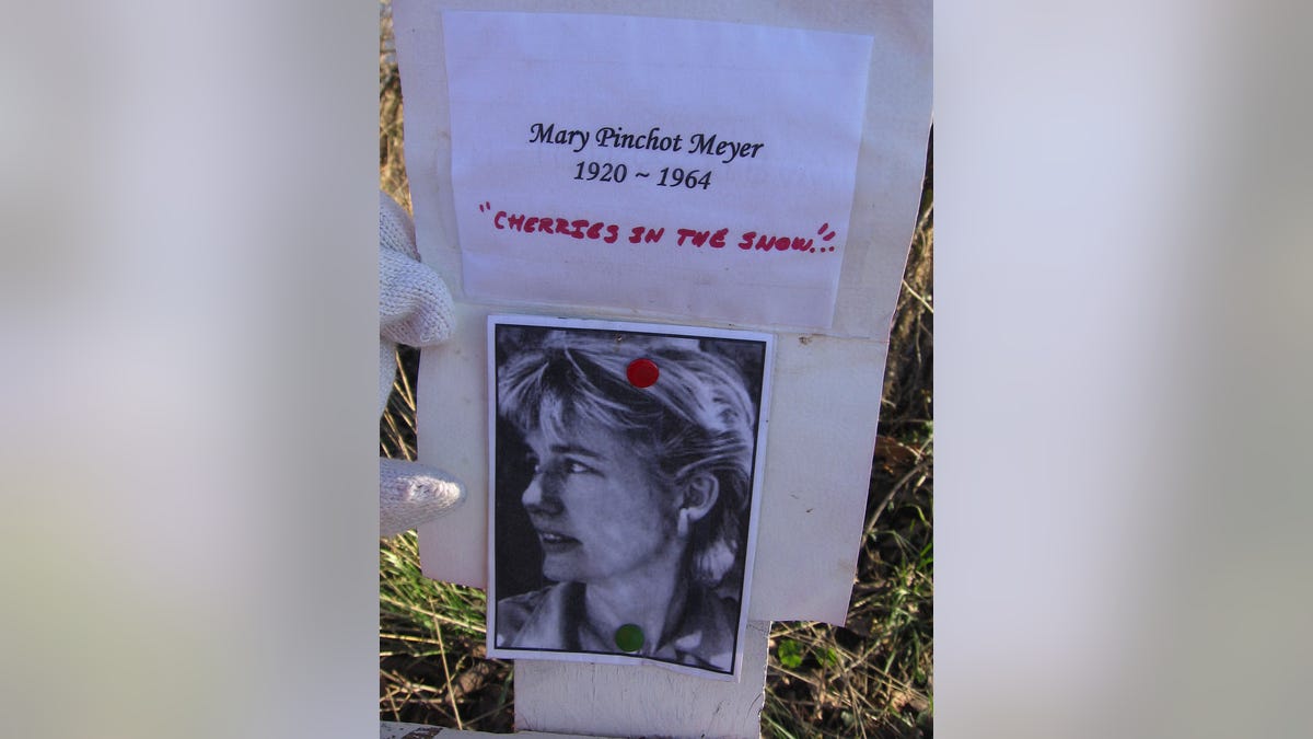 A non-official memorial along the C&amp;O Canal Towpath to Mary Meyer, who was shot and killed at the same place in 1964. Photo was taken on January 28, 2008, in Washington, DC.