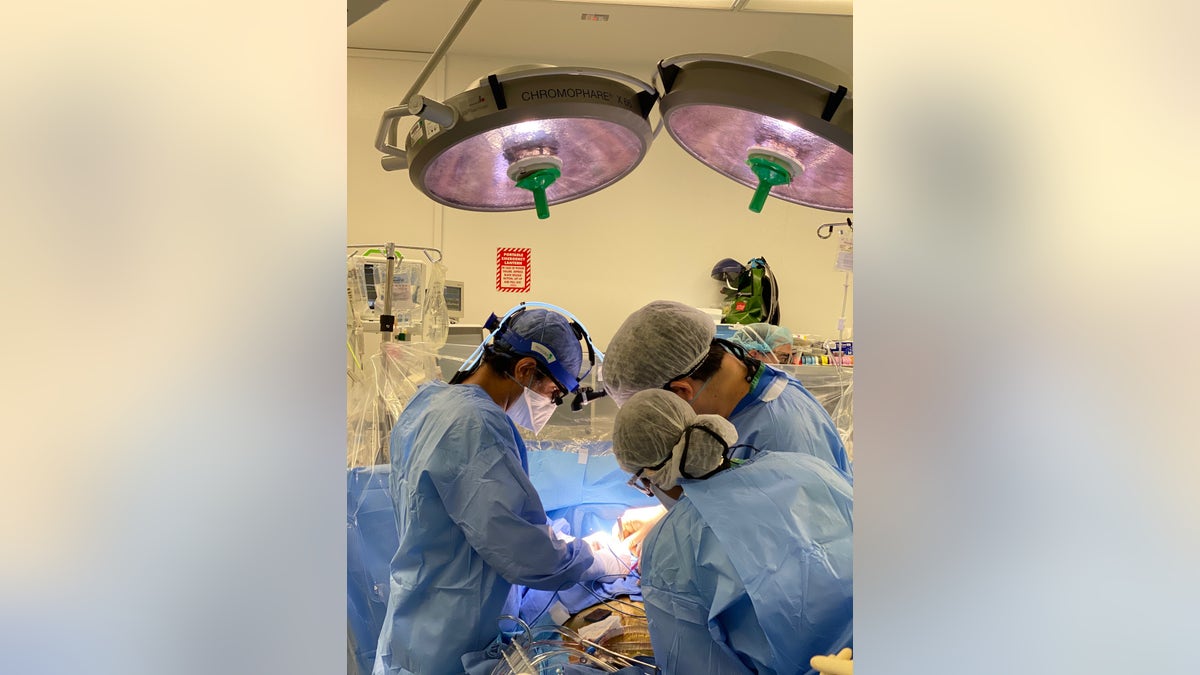 Dr. Ismail El-Hamamsy, director of aortic surgery for the Mount Sinai Health System, conducting surgery. (Photo credit: Mount Sinai Health System)