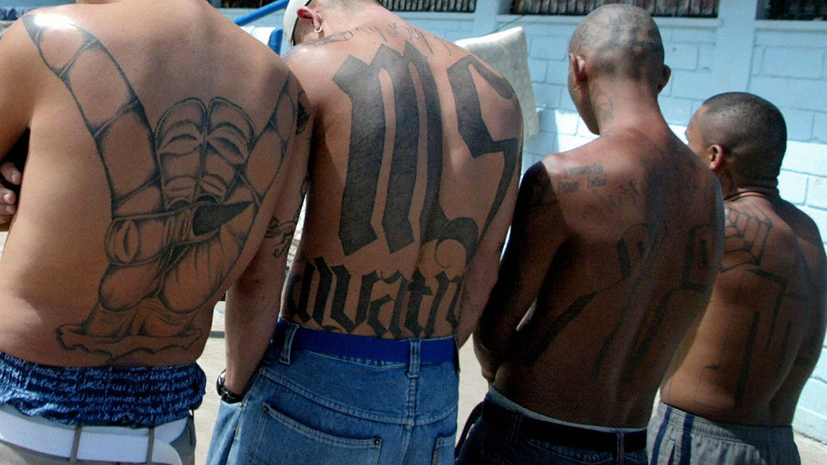 MS-13 gang members