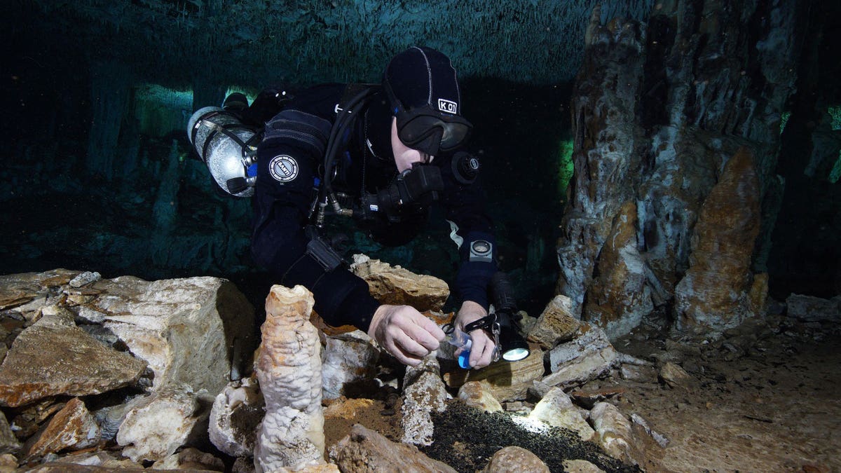 Diver Christophe Le Maillot documents the site.