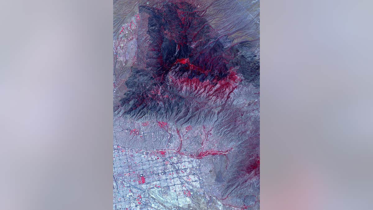 The image, which was captured on June 29, shows vegetation in red and burned areas in dark gray