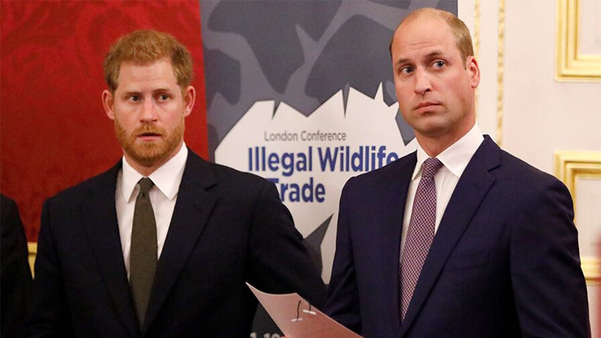 Prince William and Prince Harry