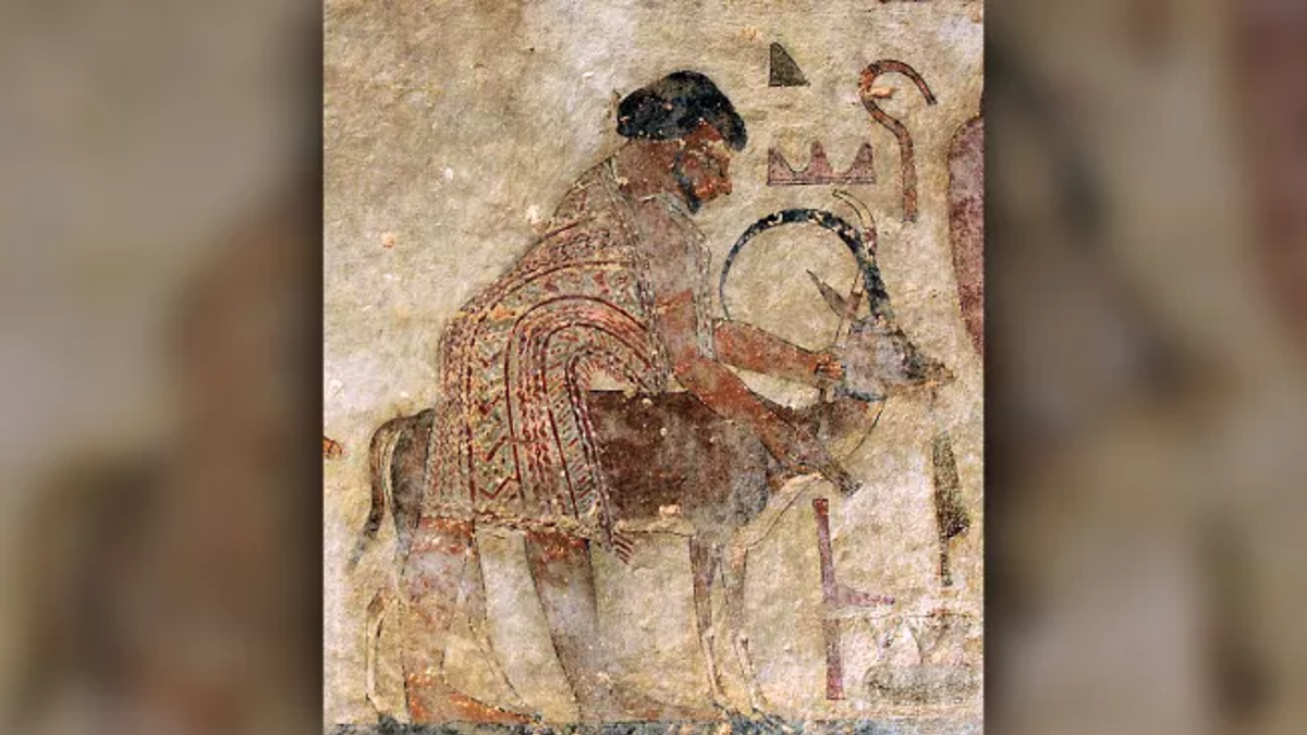 A man called "Abisha the Hyksos" was part of a foreign delegation described in a painting on the tomb of Khnumhotep II (circa 1900 B.C.) This is one of the earliest known uses of the term "Hyksos." (Credit: Macquarie University)
