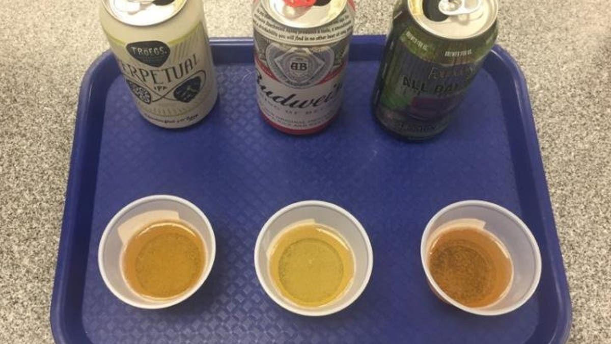 A lager beer and two pale-ale-style beers were chosen as the test stimuli.