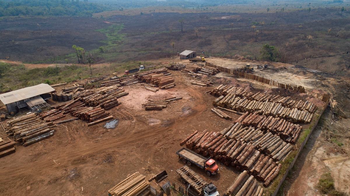 In this Sept. 2, 2019 file photo, logs are stacked at a lumber mill surrounded by recently charred and deforested fields near Porto Velho, Rondonia state, Brazil.