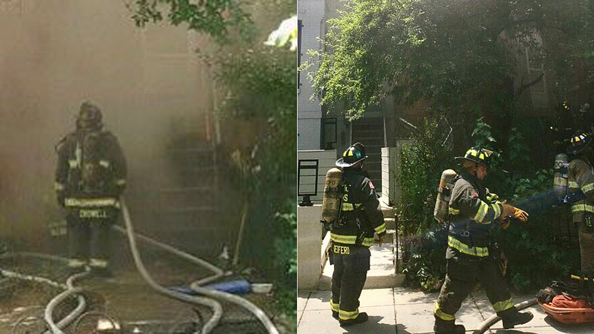 Six dogs were rescued from a burning home during the intense heat wave in Washington, D.C. Tuesday.