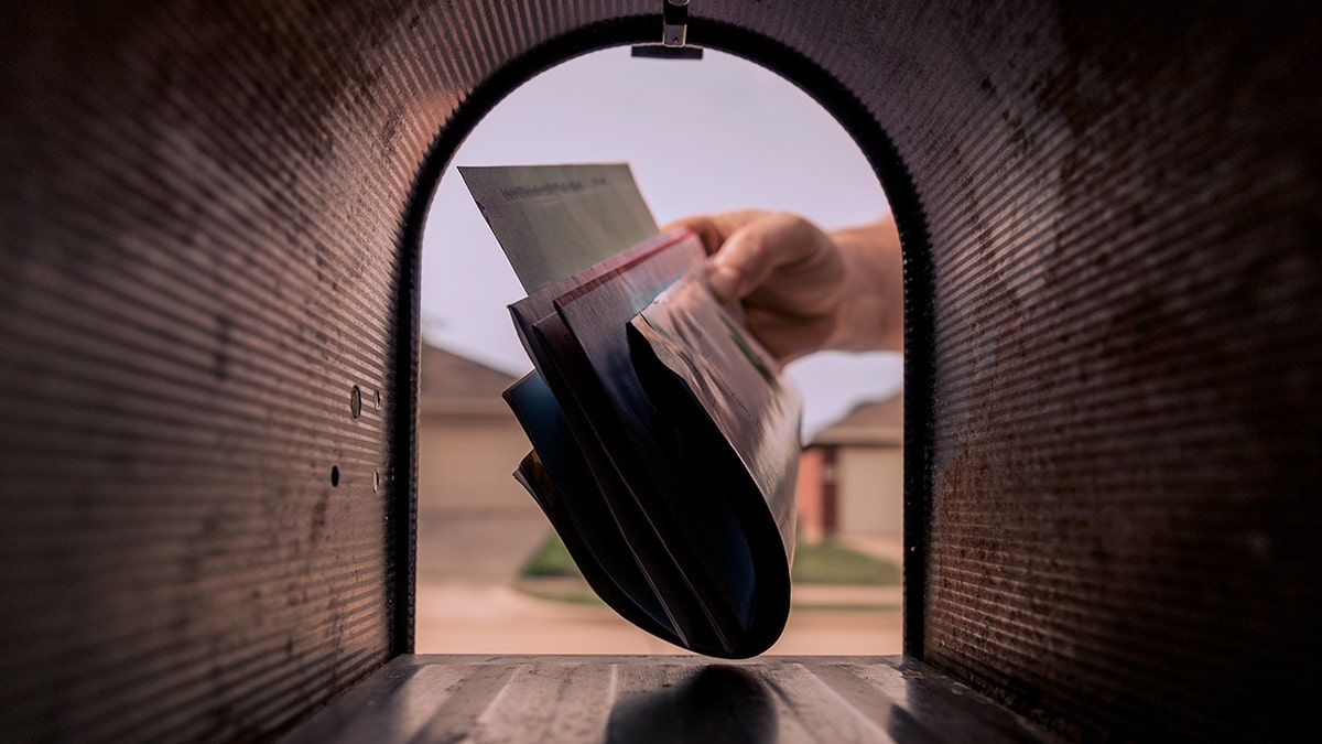 Mail in hand in front of open mailbox