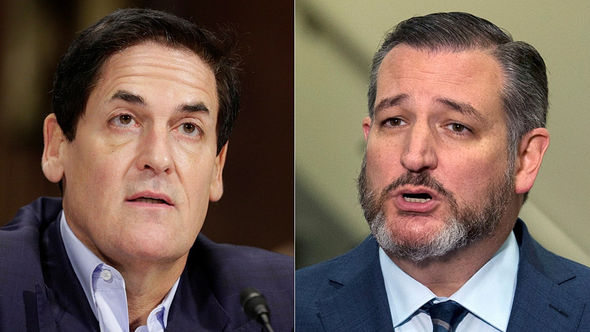 Dallas Mavericks owner Mark Cuban was dared to reveal his thoughts on China during a Twitter spat with Ted Cruz.