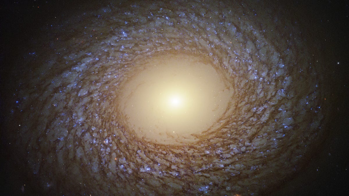 The spiral pattern shown by the galaxy in this image from the NASA/ESA Hubble Space Telescope is striking because of its delicate, feathery nature. (Credit: ESA/Hubble & NASA, J. Lee and the PHANGS-HST Team; Acknowledgment: Judy Schmidt (Geckzilla))