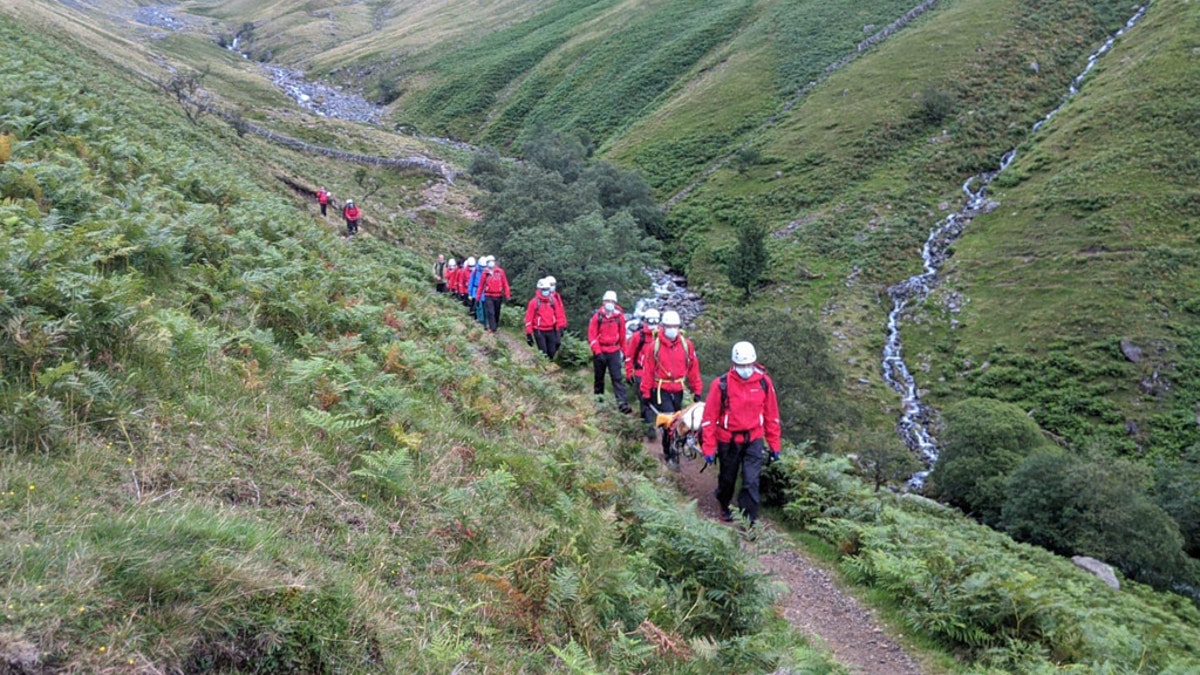 Daisy, a St Bernard, collapsed on Scafell Pike in England and needed to be rescued on Friday.