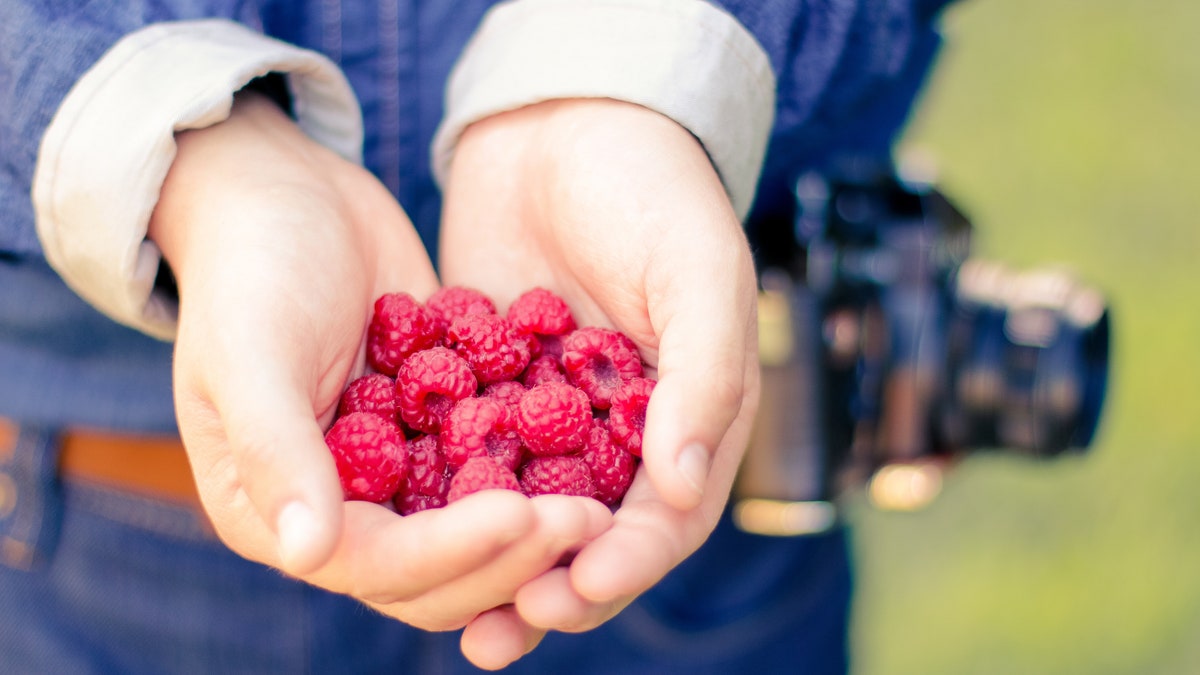 Seven in 10 confessed to not eating as much fruit as they should, in spite of wasting so much on a weekly basis.