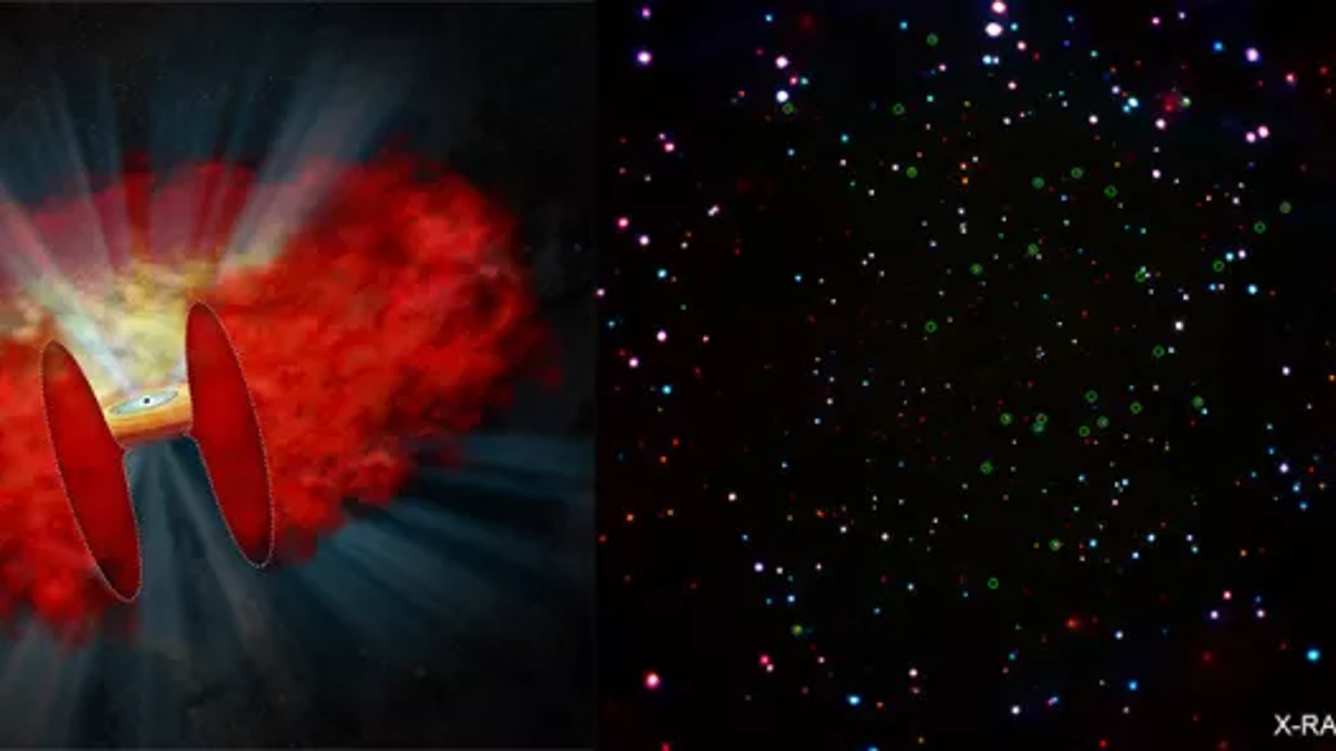Left: An illustration shows what a shrouded black hole might look like. Right: An image of the Chandra Deep Field-South (CDF-S) highlights where the new cocooned black holes were detected. (Image: © Credit: X-ray: NASA/CXC/Penn State/B.Luo et al; Illustration: NASA/CXC/M. Weiss)