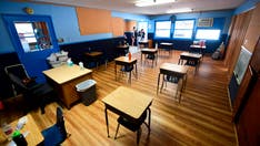 NY Times blasted for defending 'pornography literacy' for first graders: 'These people are sick'