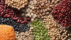 Diets higher in protein, particularly plant protein, linked to lower rates of early death: study